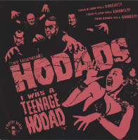 Vorschau: I Was A Teenage Hodad (LP, 200g Vinyl) Vorschau: I Was A Teenage Hodad (LP, 200g Vinyl)