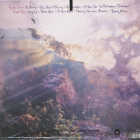 Vorschau: Be Here Instead (LP, 180g Vinyl) Vorschau: Be Here Instead (LP, 180g Vinyl)