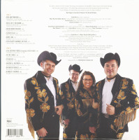 Vorschau: Highfalutin Hillbilly - Gold (LP) Vorschau: Highfalutin Hillbilly - Gold (LP)