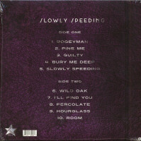 Vorschau: Slowly Speeding (LP) Vorschau: Slowly Speeding (LP)