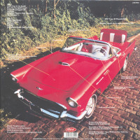 Vorschau: T-Bird Rhythm (LP) Vorschau: T-Bird Rhythm (LP)
