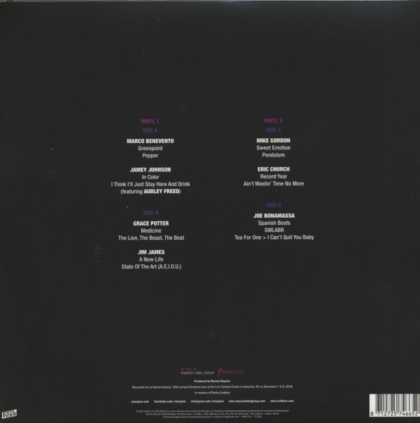 The Benefit Concert Vol. 20 Part 1 (2-LP, 180g colored Vinyl)