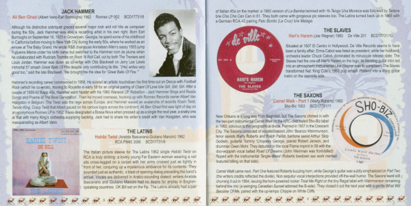 Destination Desert - 32 Oriental Rock 'n' Roll Treasures (CD)