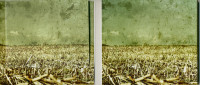 Vorschau: Beautiful Disaster Vorschau: Beautiful Disaster