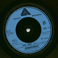 Vorschau: I Wonder Why - Ever Lovin' (7inch, 45rpm, SC) Vorschau: I Wonder Why - Ever Lovin' (7inch, 45rpm, SC)