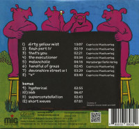 Vorschau: My Solid Ground (CD) Vorschau: My Solid Ground (CD)