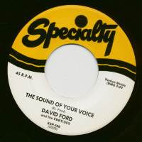 Vorschau: The Sound Of Your Voice - My Confession (7inch, 45rpm) Vorschau: The Sound Of Your Voice - My Confession (7inch, 45rpm)