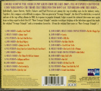 Vorschau: Teenage Triangle - More Teenage Triangle (CD) Vorschau: Teenage Triangle - More Teenage Triangle (CD)