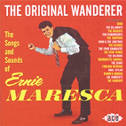 The Original Wanderer - Songs And Sounds Of