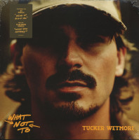 What Not To (2-LP)
