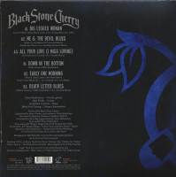 Vorschau: Black To Blues Vol.2 (LP, 180g Blue Vinyl & Download) Vorschau: Black To Blues Vol.2 (LP, 180g Blue Vinyl & Download)