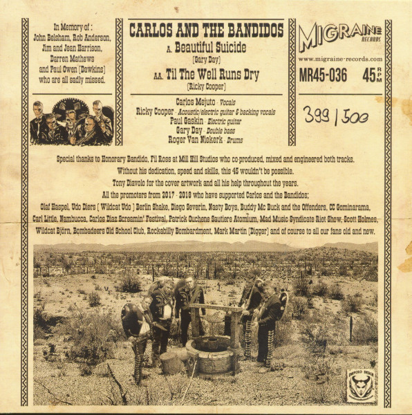 Beautiful Suicide - Til The Well Runs Dry (7inch, 45rpm, PS, Ltd.)
