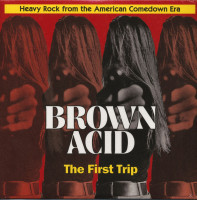 Vorschau: Brown Acid - The First Trip (LP) Vorschau: Brown Acid - The First Trip (LP)