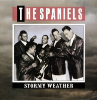 Vorschau: Stormy Weather (LP) Vorschau: Stormy Weather (LP)