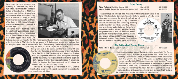 Vol.38 - Rockabilly & Rock 'n' Roll From The Vaults Of Liberty and Freedom Records (CD)