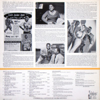 Vorschau: Someone Done Hoodooed The Hoodoo Man (LP) Vorschau: Someone Done Hoodooed The Hoodoo Man (LP)