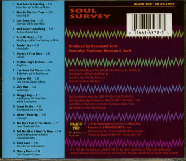 Soul Survey - A Blues Sampler (CD)