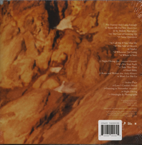 Night Diving - The Cost of Growing Up (2-LP)