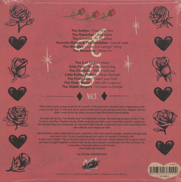 Thirteen Roses Singing In A Male World Vol.3 (LP)