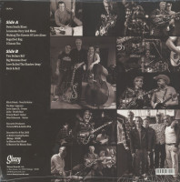 Vorschau: Down South Blues (LP) Vorschau: Down South Blues (LP)