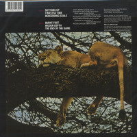 Vorschau: The End Of The Game (LP, 180g Vinyl) Vorschau: The End Of The Game (LP, 180g Vinyl)