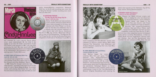 Really Into Somethin' - Brit Girl Sounds And Styles 1962-1970 (3-CD)