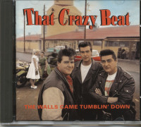 Vorschau: The Walls Came Tumblin' Down (CD) Vorschau: The Walls Came Tumblin' Down (CD)