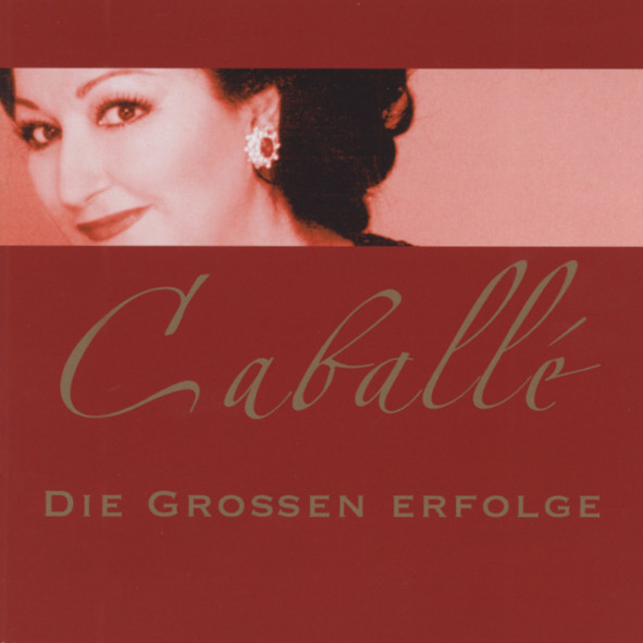 Die grossen Erfolge (2-CD)
