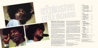 Vorschau: The Explosive Little Richard! (2-LP) Vorschau: The Explosive Little Richard! (2-LP)