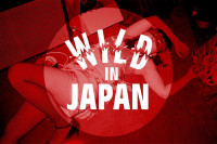 Vorschau: Wild In Japan (CD) Vorschau: Wild In Japan (CD)