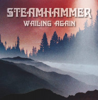 Vorschau: Wailing Again (LP) Vorschau: Wailing Again (LP)