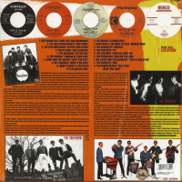 Vorschau: Teenage Shutdown Vol.1 - Jump, Jive & Harmonize! (LP) Vorschau: Teenage Shutdown Vol.1 - Jump, Jive & Harmonize! (LP)
