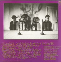 Vorschau: Psychedelic Jungle (LP) Vorschau: Psychedelic Jungle (LP)