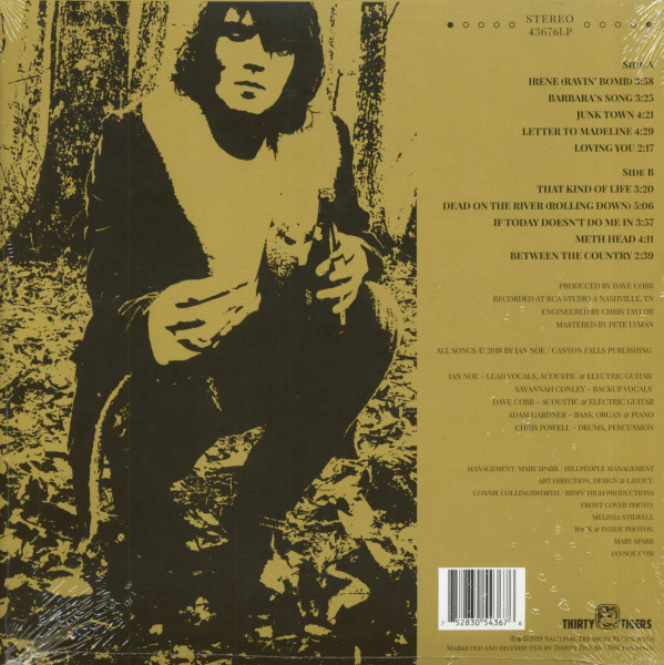 Between The Country (LP)