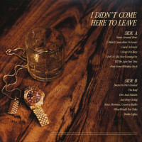 Vorschau: I Didn't Come Here To Leave (LP, colored Vinyl) Vorschau: I Didn't Come Here To Leave (LP, colored Vinyl)