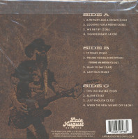Vorschau: Backside Of 30 (2-LP, colored Vinyl) Vorschau: Backside Of 30 (2-LP, colored Vinyl)