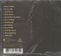 Vorschau: Didn't it Rain (CD) Vorschau: Didn't it Rain (CD)
