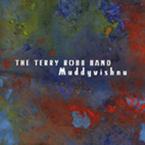 Muddyvishnu
