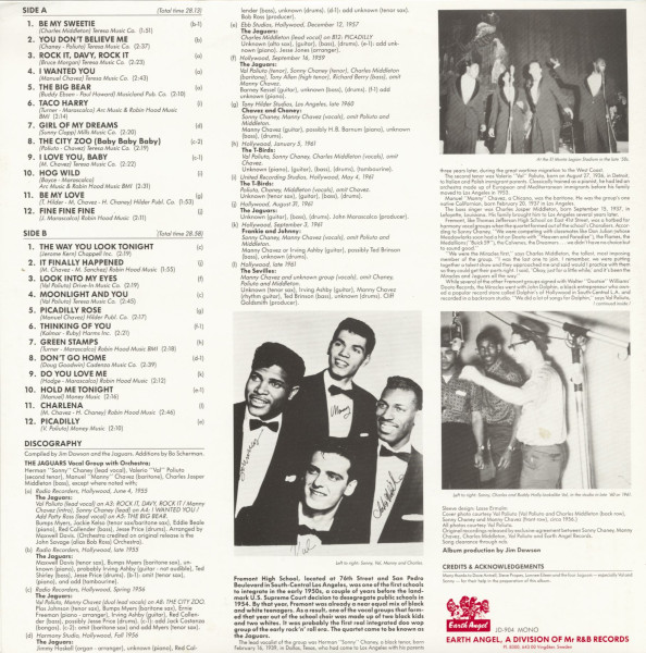 The Way You Look Tonight (LP)