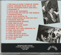 Vorschau: The Walls Came Tumblin' Down (CD) Vorschau: The Walls Came Tumblin' Down (CD)