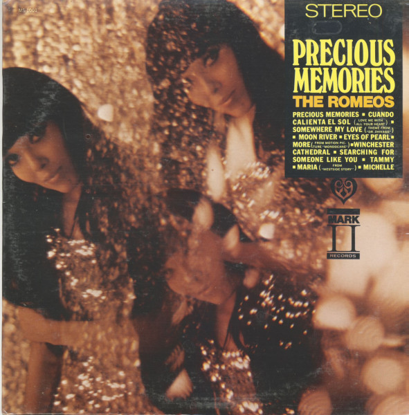 Precious Memories (LP)