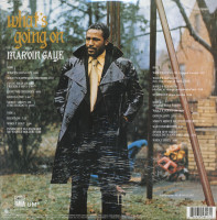 Vorschau: What's Going On (2-LP, 180g Vinyl) Vorschau: What's Going On (2-LP, 180g Vinyl)