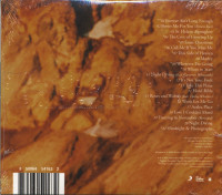 Vorschau: Night Diving - The Cost of Growing Up (CD) Vorschau: Night Diving - The Cost of Growing Up (CD)