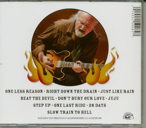 Devil May Care (CD)