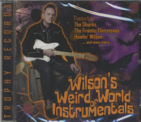 Vorschau: Wilson's Weird World Of Instrumentals (CD) Vorschau: Wilson's Weird World Of Instrumentals (CD)