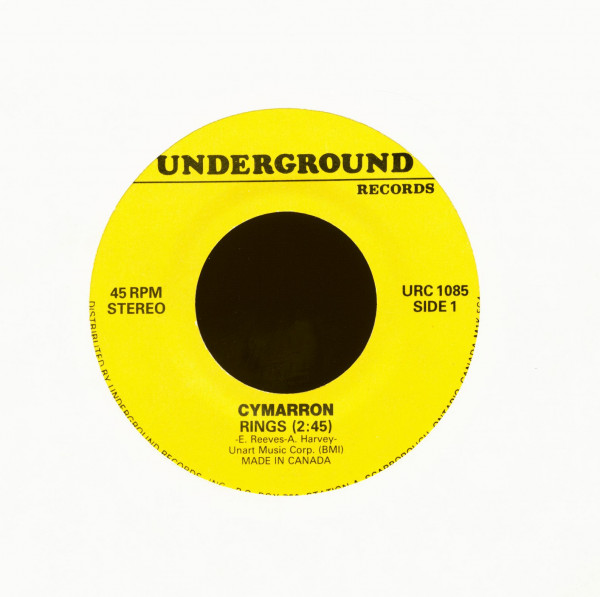 Rings - What The Hell I Got (7inch, 45rpm)