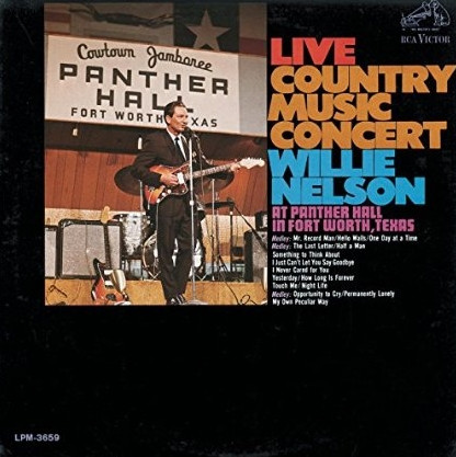 Country Music Concert - The Willie Way