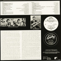 Vorschau: Boppin' Hillbilly Vol.22 (LP) Vorschau: Boppin' Hillbilly Vol.22 (LP)