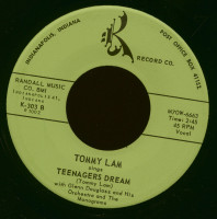 Vorschau: Blue Willow - Teenagers Dream (7inch, 45rpm) Vorschau: Blue Willow - Teenagers Dream (7inch, 45rpm)