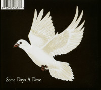 Vorschau: After The Fire (CD) Vorschau: After The Fire (CD)